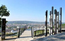 Der Schoppengeher